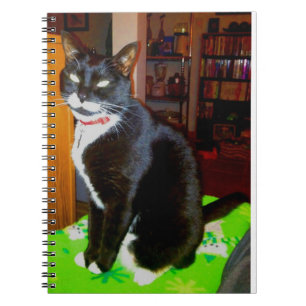 Pretty Girl Lucy Notebook