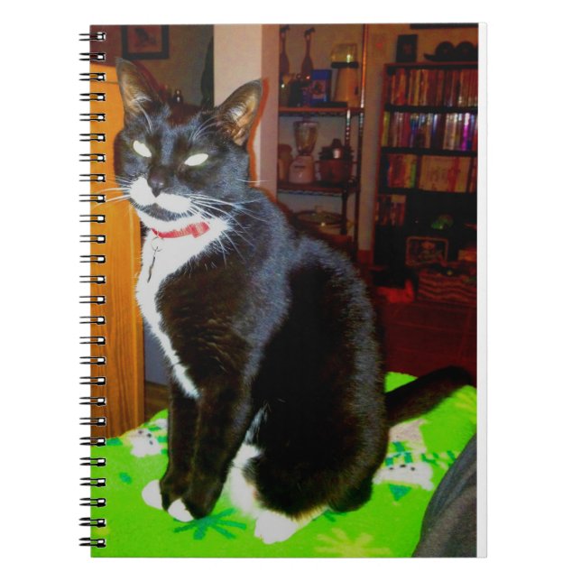 Pretty Girl Lucy Notebook (Front)