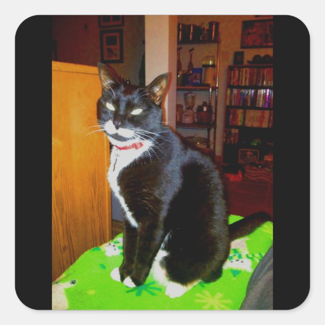 Pretty Girl Lucy Square Sticker (Front)