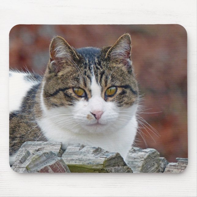 Pretty Girl Mouse Pad (Front)
