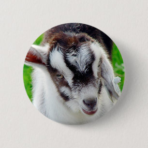 Pretty Goat Kid 6 Cm Round Badge