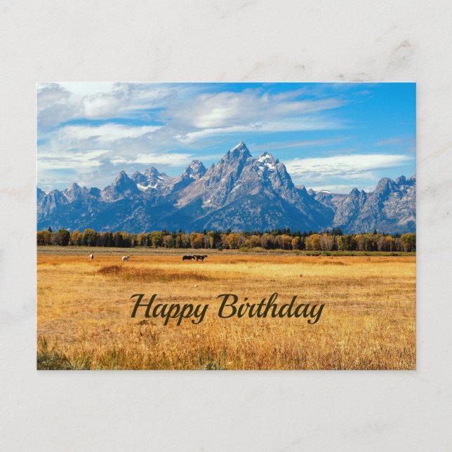 Pretty Golden Field Mountains Birthday Postcard (Front)
