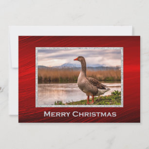 Pretty Goose Landscape Photo Christmas Flat Holiday Card