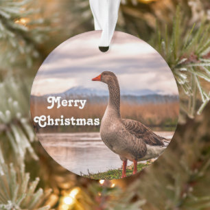 Pretty Goose Landscape Photo Ornament