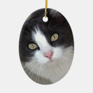 Pretty gray and white cat ceramic tree decoration
