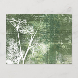 Pretty Green and White Dandelion Seeds Vintage Postcard