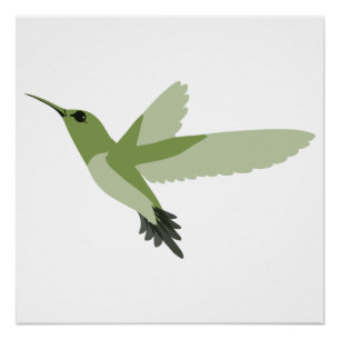 Pretty green hummingbird poster