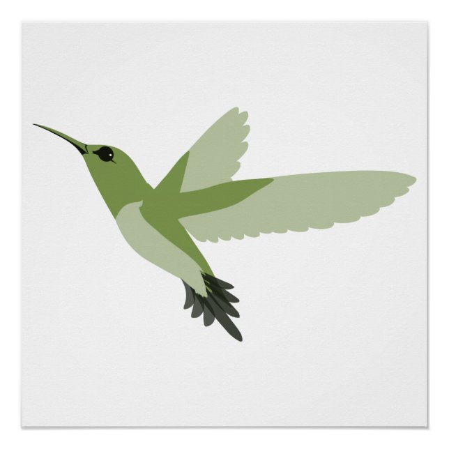 Pretty green hummingbird poster (Front)