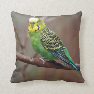 Pretty Green Parakeet Photo Cushion
