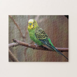 Pretty Green Parakeet Photo Jigsaw Puzzle