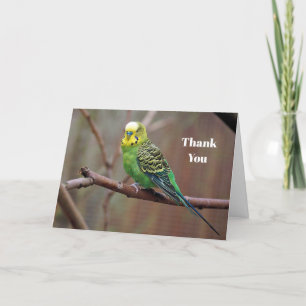 Pretty Green Parakeet Photo Thank You Card