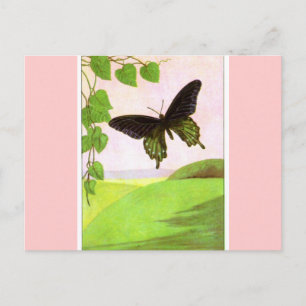 Pretty Green Vintage Butterfly Postcard