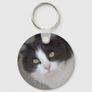 Pretty grey and white cat key ring