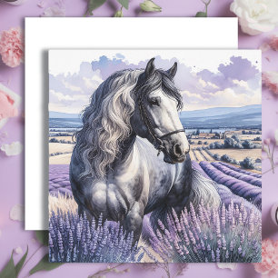 Pretty Grey Horse Standing in Lavender