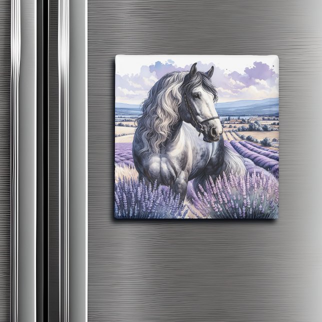 Pretty Grey Horse Standing in Lavender Magnet (Creator Uploaded)