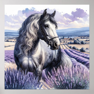 Pretty Grey Horse Standing in Lavender Poster