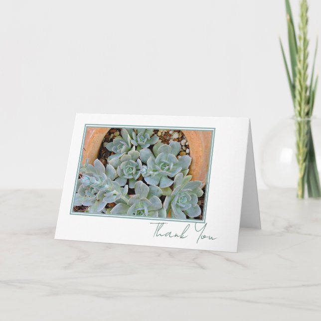 Pretty Hen & Chicks Any Occasion Script 5 x 7  Thank You Card (Front)