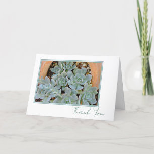 Pretty Hens & Chicks Any Occasion Script 5 x 7  Thank You Card