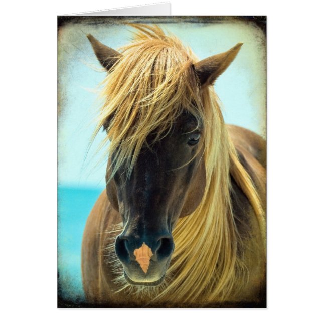 Pretty Horse (Front)
