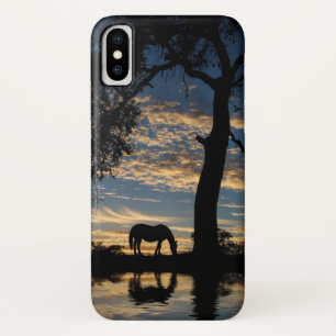 Pretty Horse and Water iPhone X Case