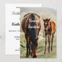 Pretty Horse Foal Photo Birthday