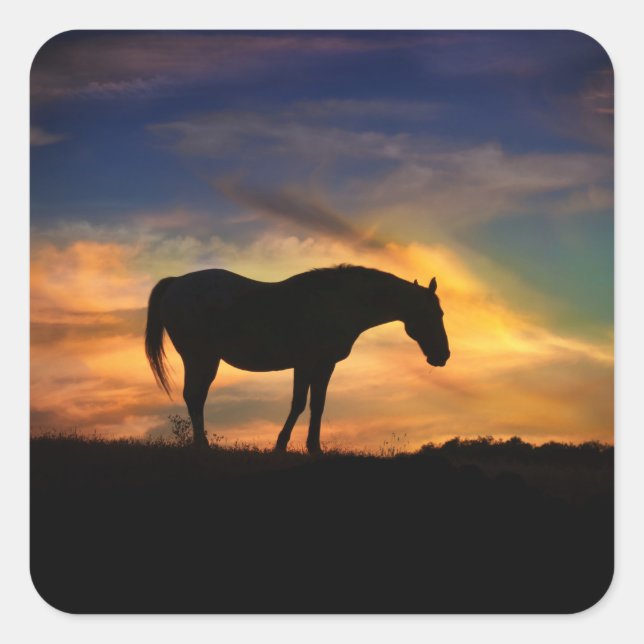 Pretty Horse in the Southwestern Sunset Stickers (Front)