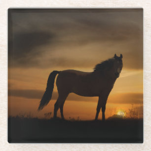 Pretty Horse in the Sunset Coaster