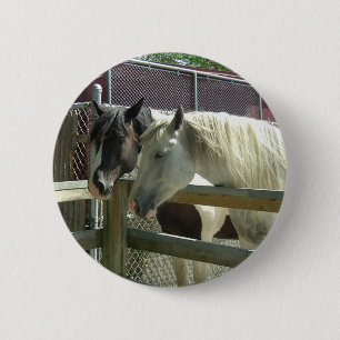 Pretty Horses 6 Cm Round Badge