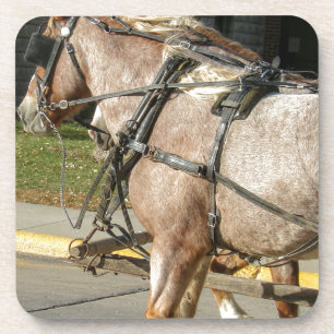 Pretty Horses Coaster