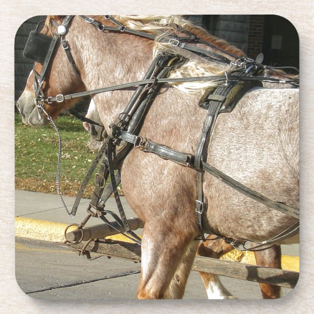 Pretty Horses Coaster (Front)