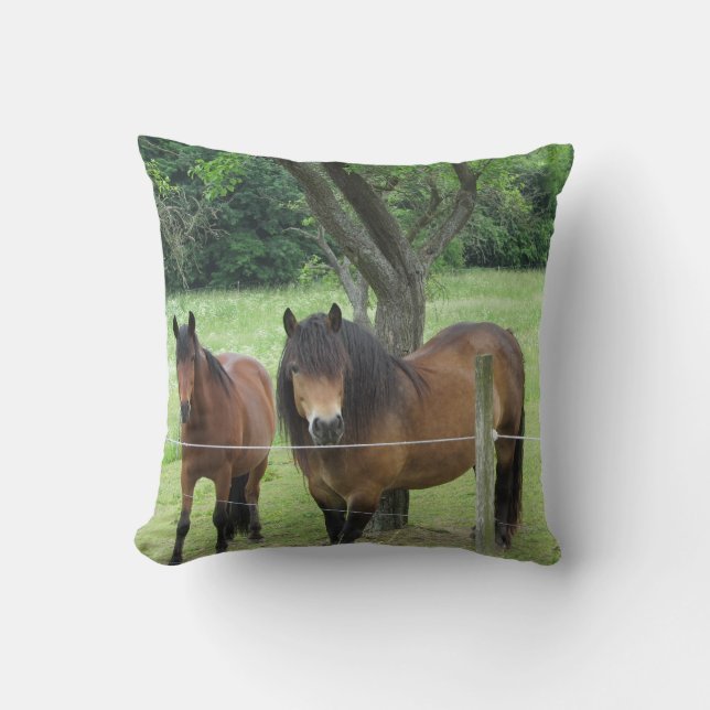 Pretty Horses Cushion (Front)
