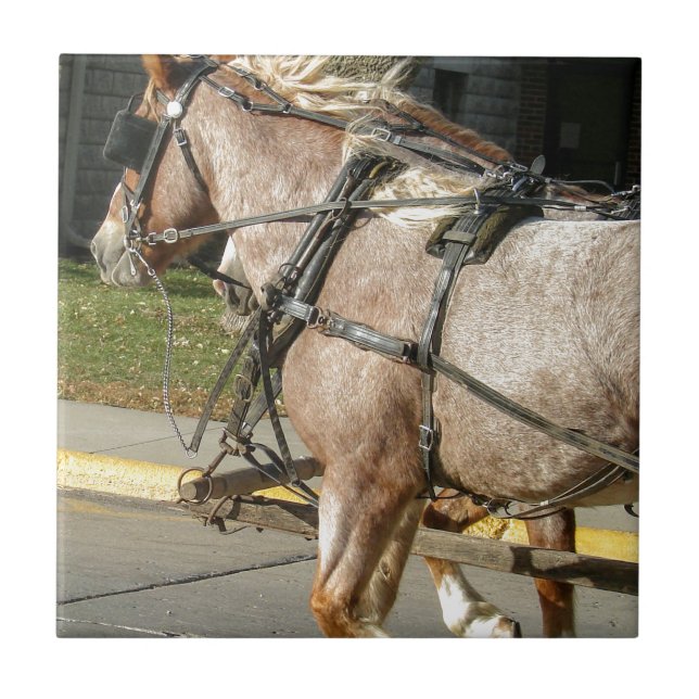 Pretty Horses Tile (Front)
