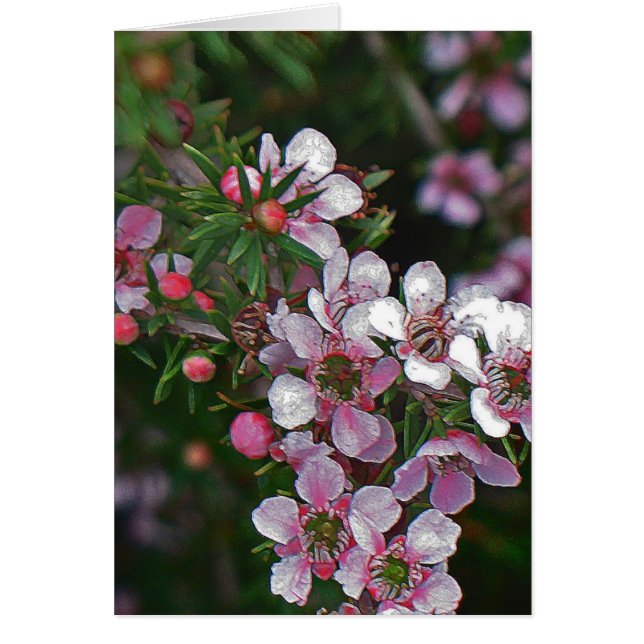 Pretty in pink (Front)