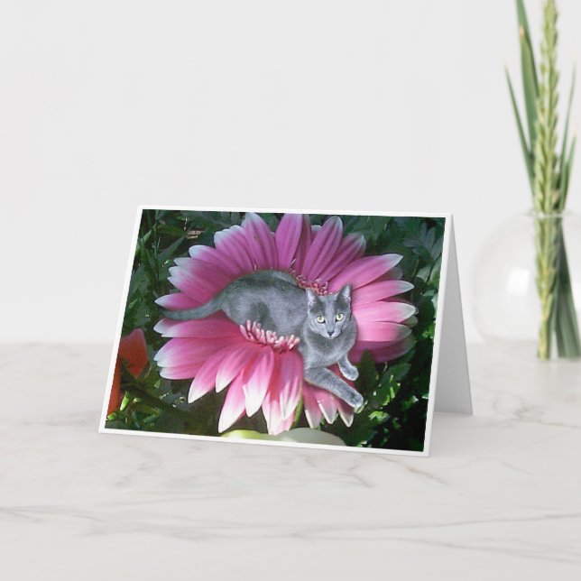 Pretty In Pink Card (Front)