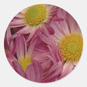 Pretty In Pink: Envelope Seals