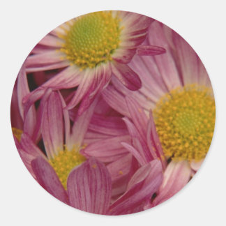 Pretty In Pink: Envelope Seals