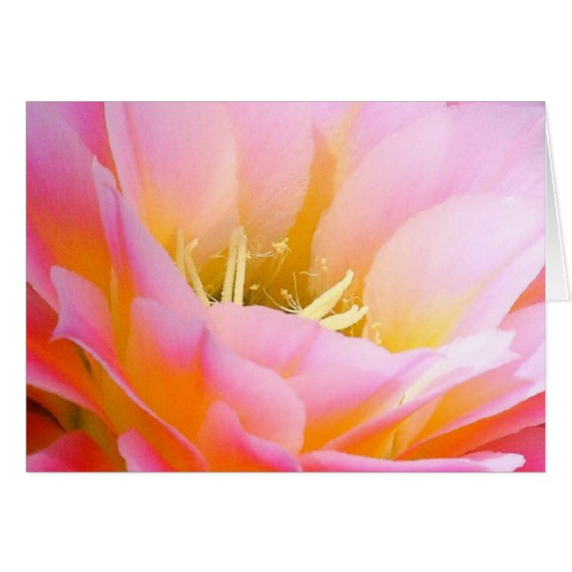 Pretty in pink floral (Front Horizontal)