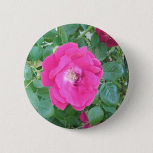 Pretty In Pink Flower 6 Cm Round Badge