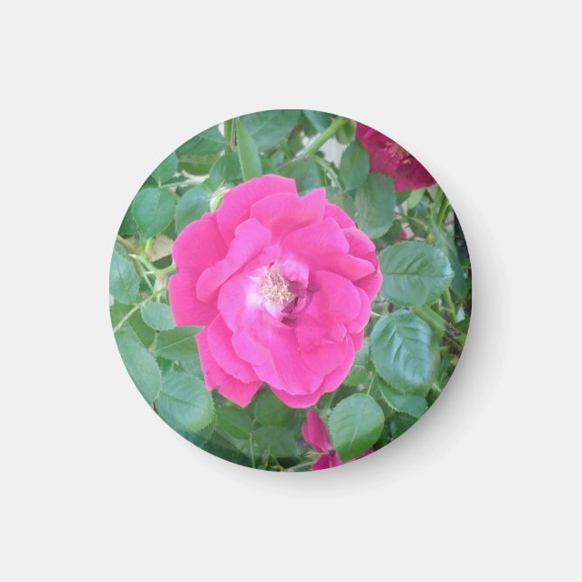 Pretty In Pink Flower Magnet (Front)