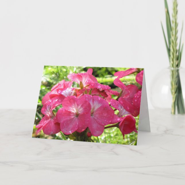 Pretty in Pink Flowers Birthday Wishes Card (Front)