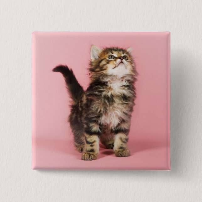 Pretty in Pink Kitten 15 Cm Square Badge (Front)