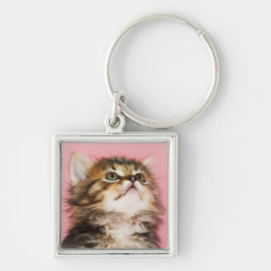 Pretty in Pink Kitten Key Ring