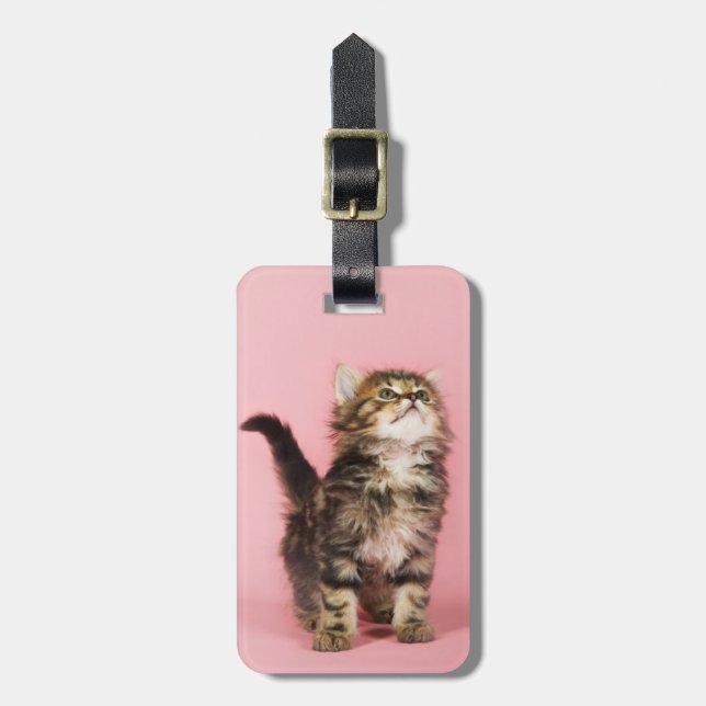 Pretty in Pink Kitten Luggage Tag (Front Vertical)