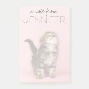 Pretty in Pink Kitten Post-it Notes