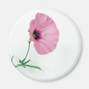 Pretty In Pink Magnet