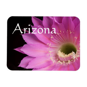 Pretty in pink Maria Piazza, Arizona Magnet