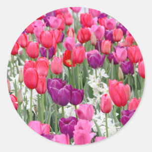 Pretty in Pink Petals Classic Round Sticker