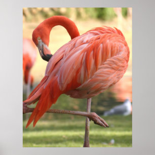 Pretty in pink poster