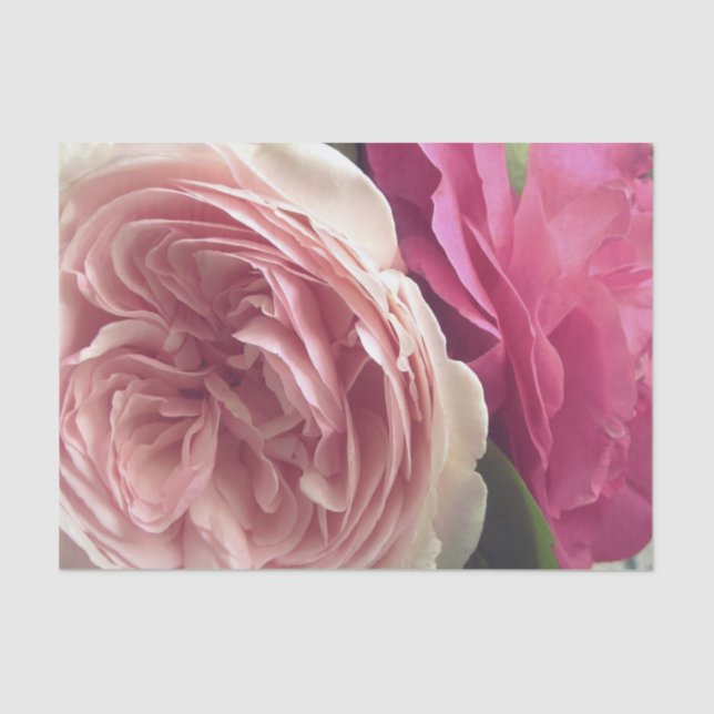 Pretty in Pink Tissue Paper (Front)