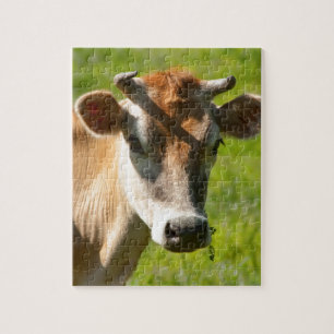 Pretty Jersey Cow Stare Jigsaw Puzzle